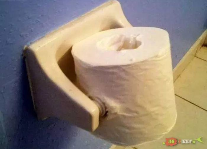 this-toilet-roll-photo-u1