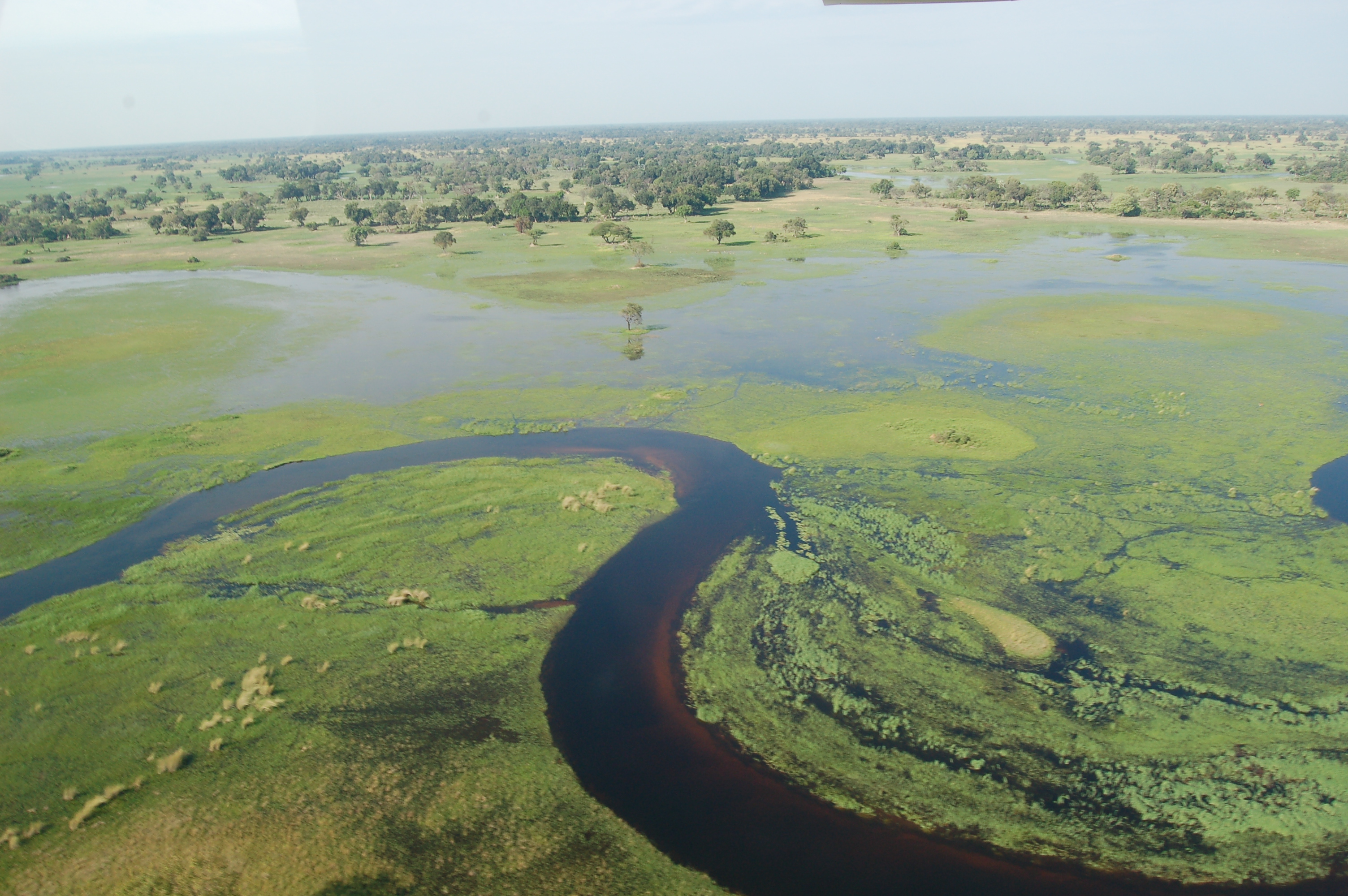 Lieu Afrique Okavango