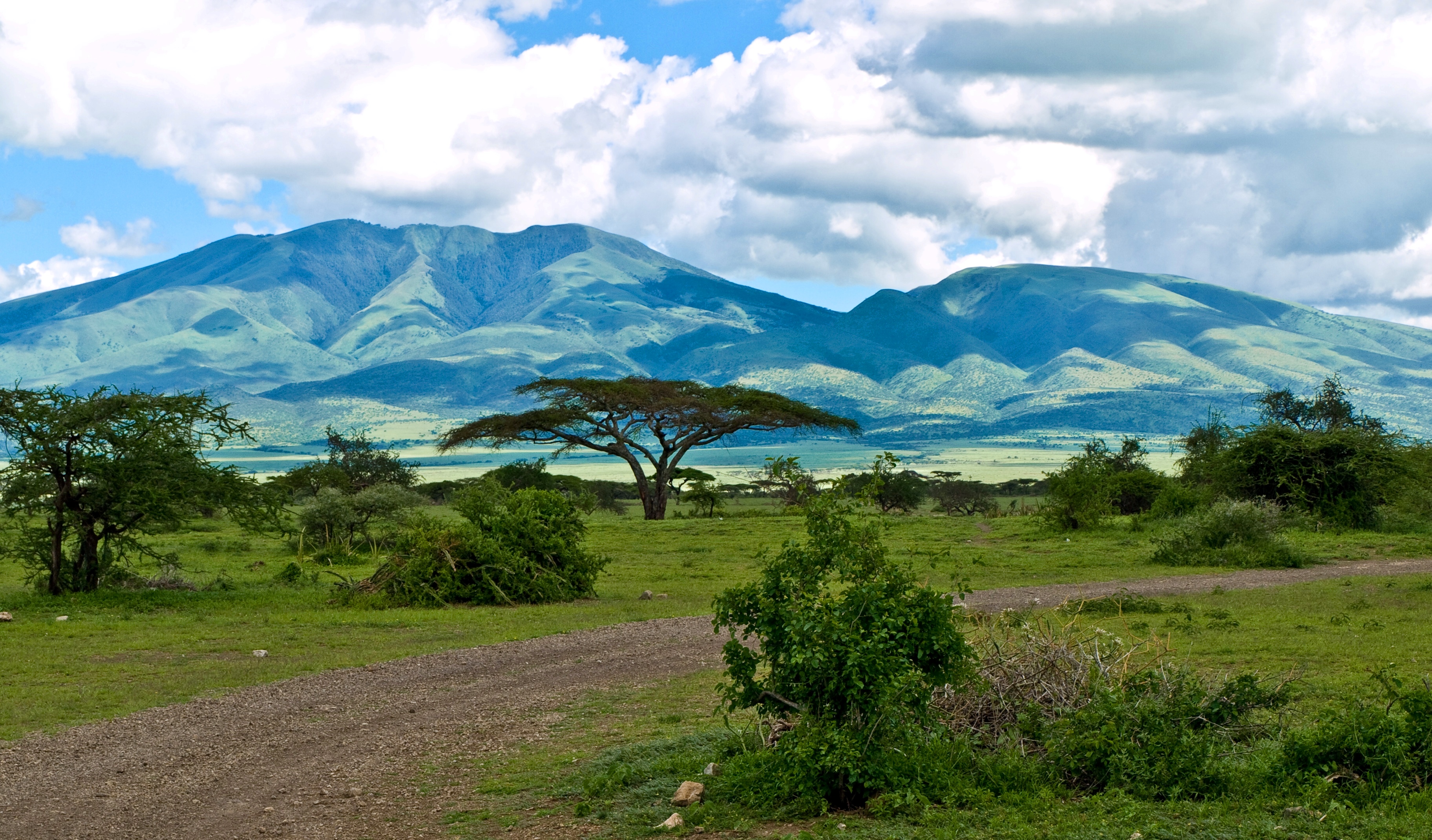 Lieux Afrique Serengeti