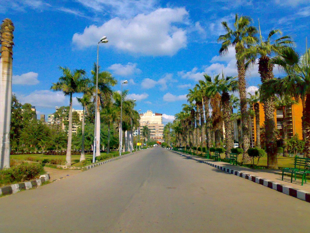 Mansoura_University_in_Dec_2007