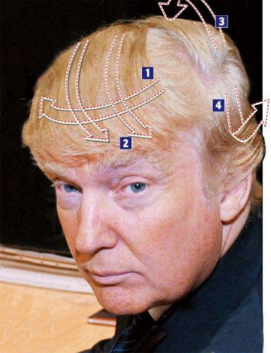 donald-trump-bald-picture