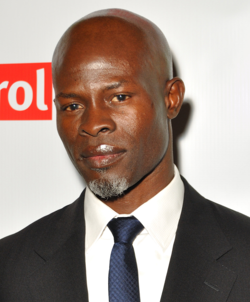 djimon_hounsou_cropped