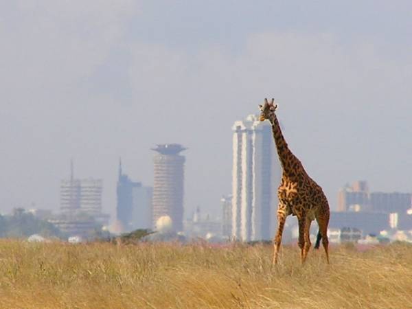 nairobi