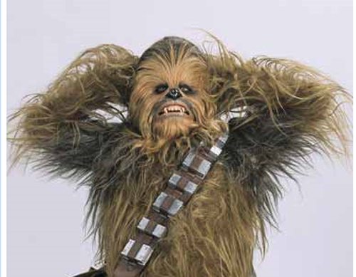 star-wars-chewbacca-window-stress